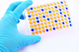 Fluoro Enzymatic Assays