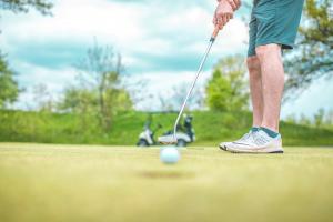 There are a wide variety of golf clubs available