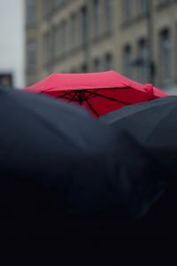 Ein roter Regenschirm zwischen schwarzen Regenschirmen