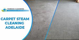 Steam Cleaning in Adelaide