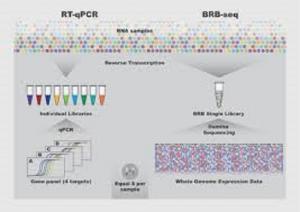 RNA Sequencing Market