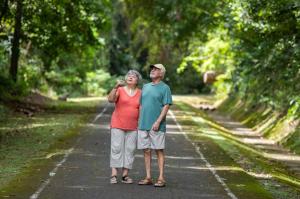 An ecosystem that combines green spaces with daily life