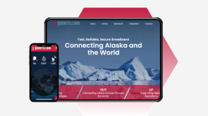 snapshot of the Quintillion website