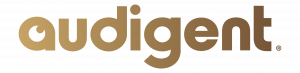 Audigent Announces Breakthrough in Privacy Sandbox, First Data Company To Reach Massive Scale with Interest Groups