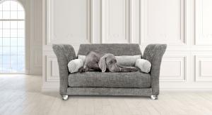 Lusso Orthopedic dog bed from Club Nine Pets