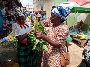 African Indigenous Vegetables Nutrition Food Security Technology Solution