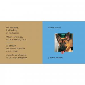 sample page from Look What I See! Where Can I Be? With My Animal Friends