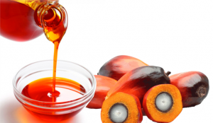Palm Kernel Oil Market