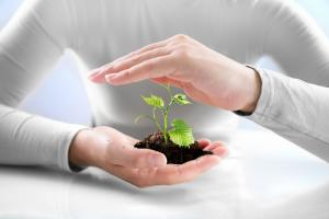 Agricultural Insurance Market
