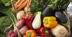 India Exotic Vegetables Market