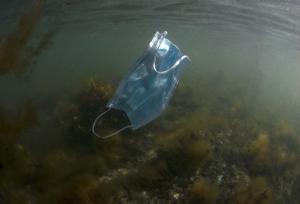 Face mask floating in water