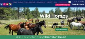 Wild Horses - EcoTourism at Klamath Ranch Resort & RV Park