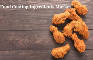 Food Coating Ingredients Market