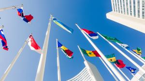 Ideas Beyond Borders UN Flags