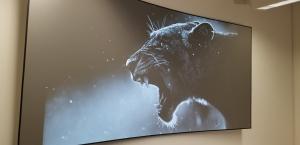 Meet the new era in innovative projection screens for movies, sports, and more!