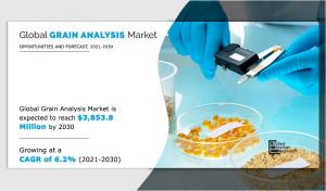 Grain analysis Market