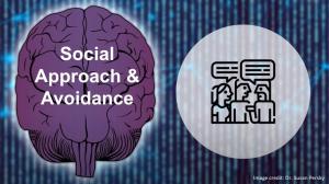Social Approach and Avoidance Neuroscience Study with VR