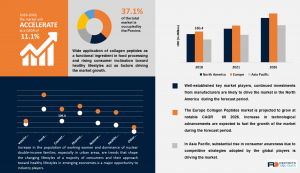 Collagen Peptide Market