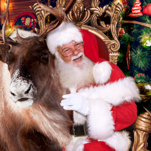 Santa Claus with Reindeer