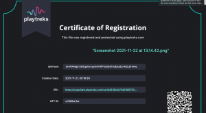 PlayTreks digital certificate of ownership