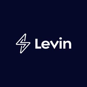 Levin Group - The global technology talent marketplace