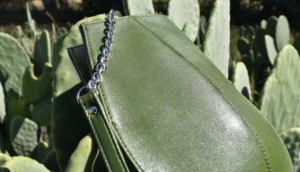 Vegan Cactus Leather Market Images, Size and Share