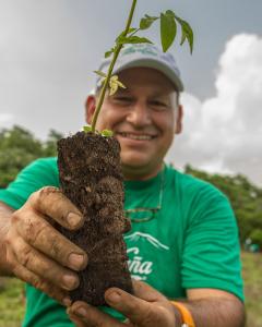 Flor de Caña has planted 800,000 trees since 2005.