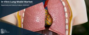 In Vitro Lung Model Market