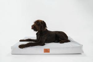 Dog laying on pet bed - Animal Ortho Care EmBed Drift Pet Bed