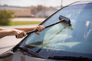Woman washes squashed bugs of windshield