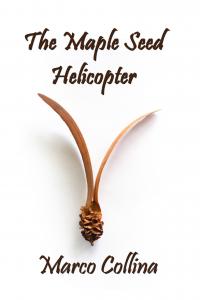 The Maple Seed Helicopter by Marco Collina