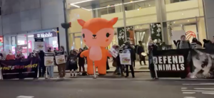 NYC #MakeFurFarmsHistory Protest at Canadian Consulate