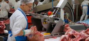 Meat Processing Equipment Market