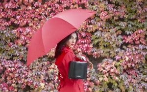 A Bucklesbury Classic English Umbrella in red and a Bucklesbury Mini Handbag in black