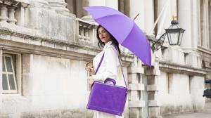 A Bucklesbury Classic English Umbrella in purple and a Bucklesbury Laptop Bag in purple