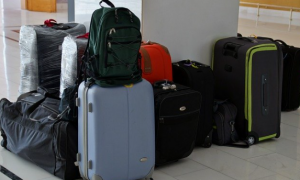 Luggage Market Image, Size and Share
