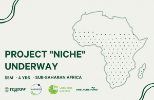 Project "Niche" Underway