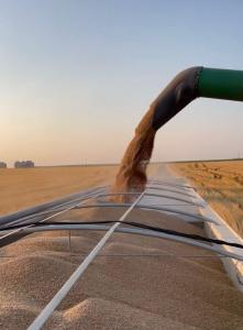 Farming equipment in wheat field