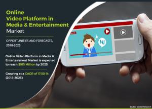 Online Video Platform Industry