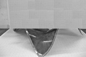 Electroactive polymers Market