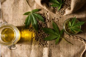 hemp plant, seeds, oil, and powder