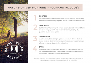 This infographic shows a photo of a man and a dog in the woods, looking peacefully at one another. The Instinct Nature-Driven Nurture logo is overlaid on the image. The text reads: Nature-Driven Nurture Programs Include: 1. Courses; Self-paced online cour