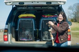 woman loads puppies into van on side of road