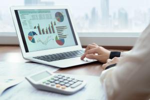 person using accounting software