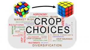 Planting Profits helps decide crop choices.