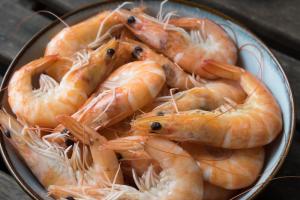 Top Shrimp Companies
