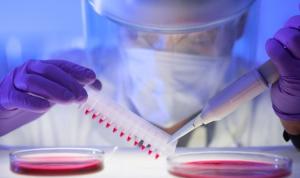Biological Safety Testing Market