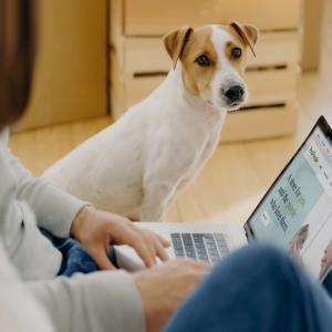 PetPeople Online Ordering Home Delivery