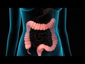 Short Bowel Syndrome Market