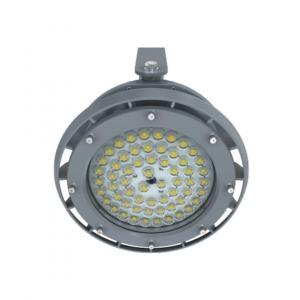 Round explosion proof flood light